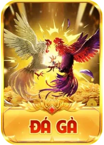 Trang chủ 5 img đá gà sonclub