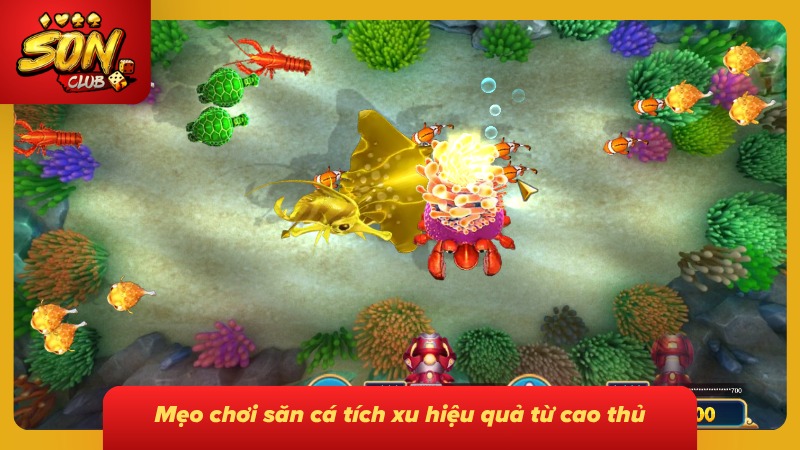 Bắn Cá Ăn Xu: Trải Nghiệm Săn Thưởng Đại Dương Đỉnh Cao 6 Mẹo tăng xu cực kỳ dễ cùng bet lão làng