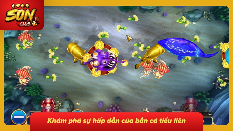 Cẩm Nang Chơi Bắn Cá Tiểu Tiên Trúng Thưởng Lớn 2 Khám phá không gian giải trí siêu chân thực