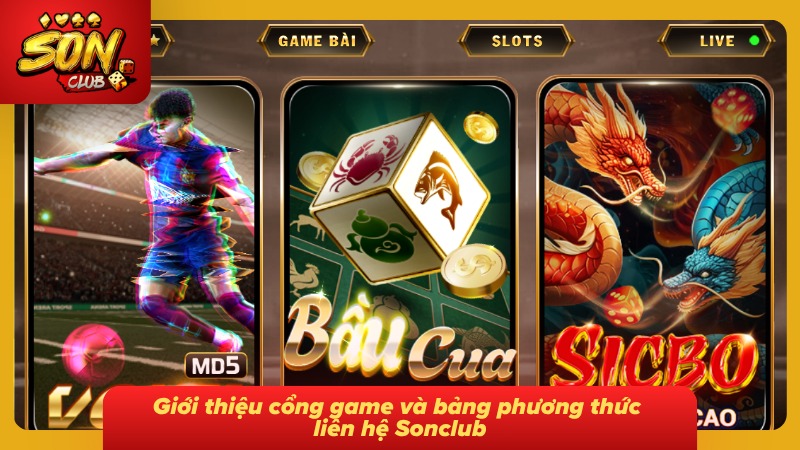 Bảng tổng hợp thông tin liên hệ cùng các kênh hỗ trợ hiện có tại cổng game